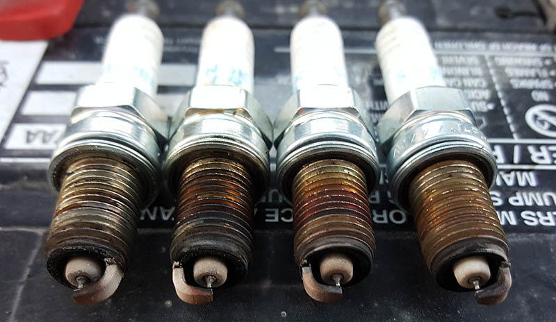 Old plugs. Look pretty consistent with good coloring.
